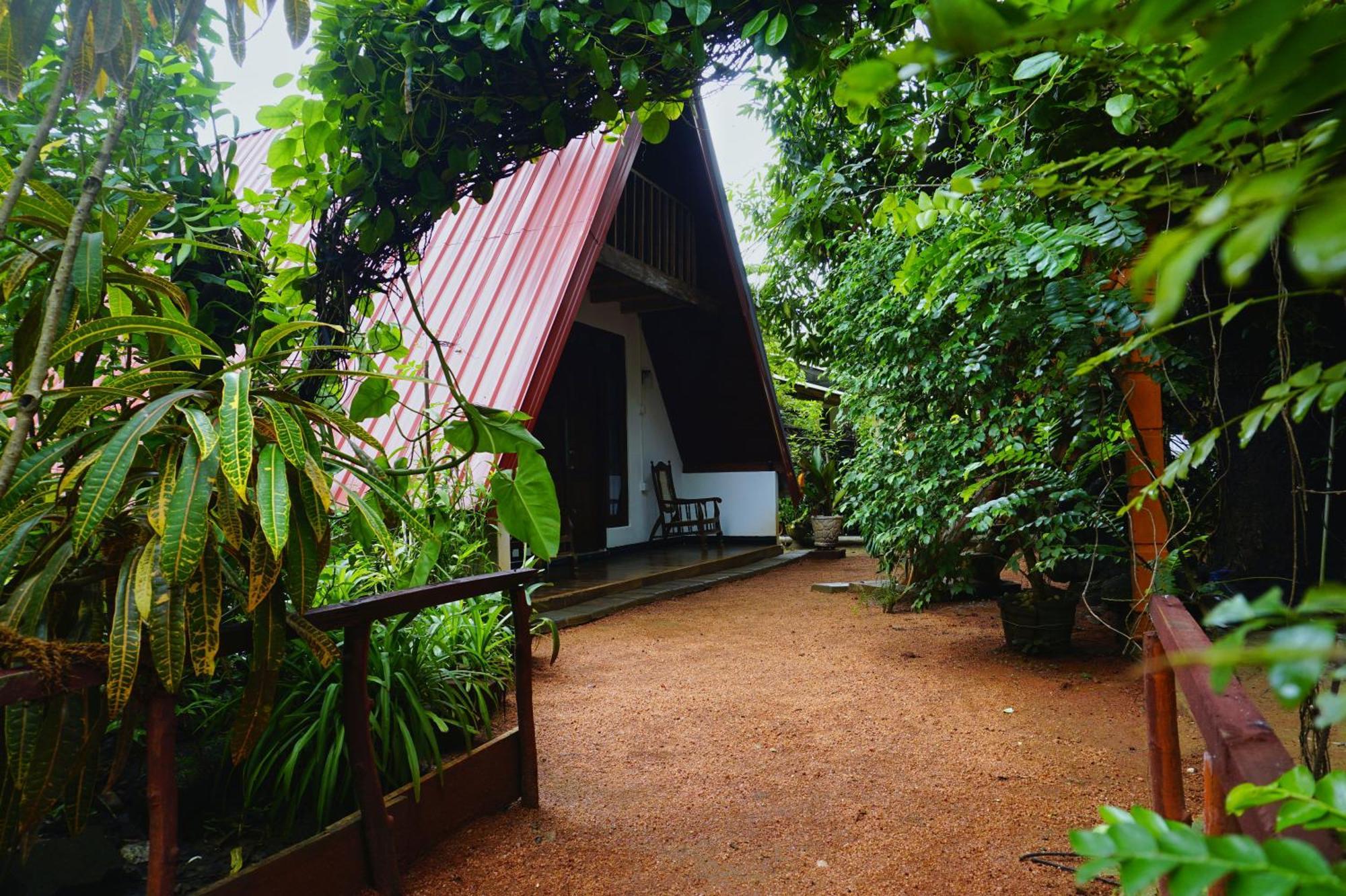 Sigiri Sky Home & Treehouse Сигирия Экстерьер фото