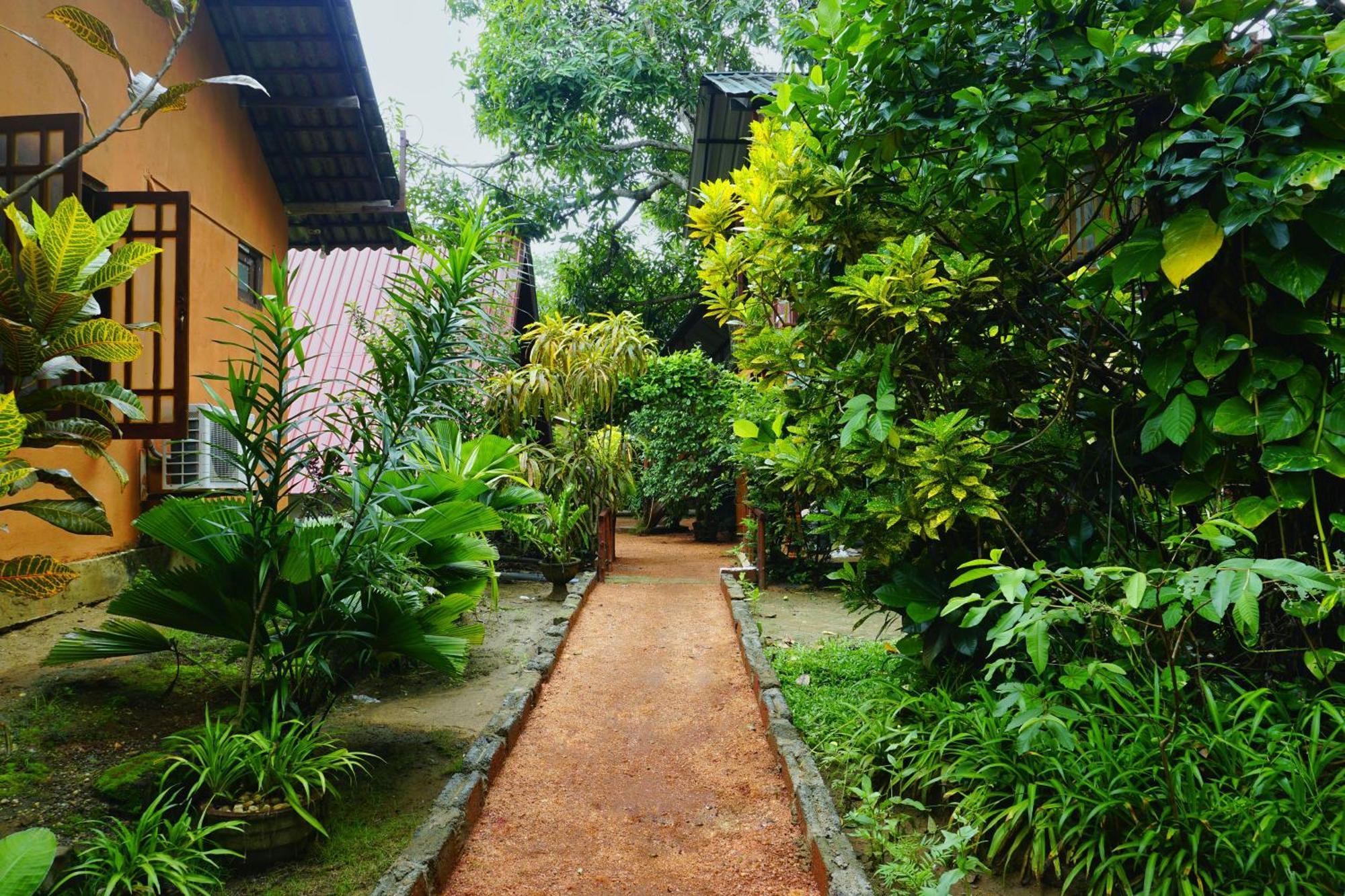 Sigiri Sky Home & Treehouse Сигирия Экстерьер фото